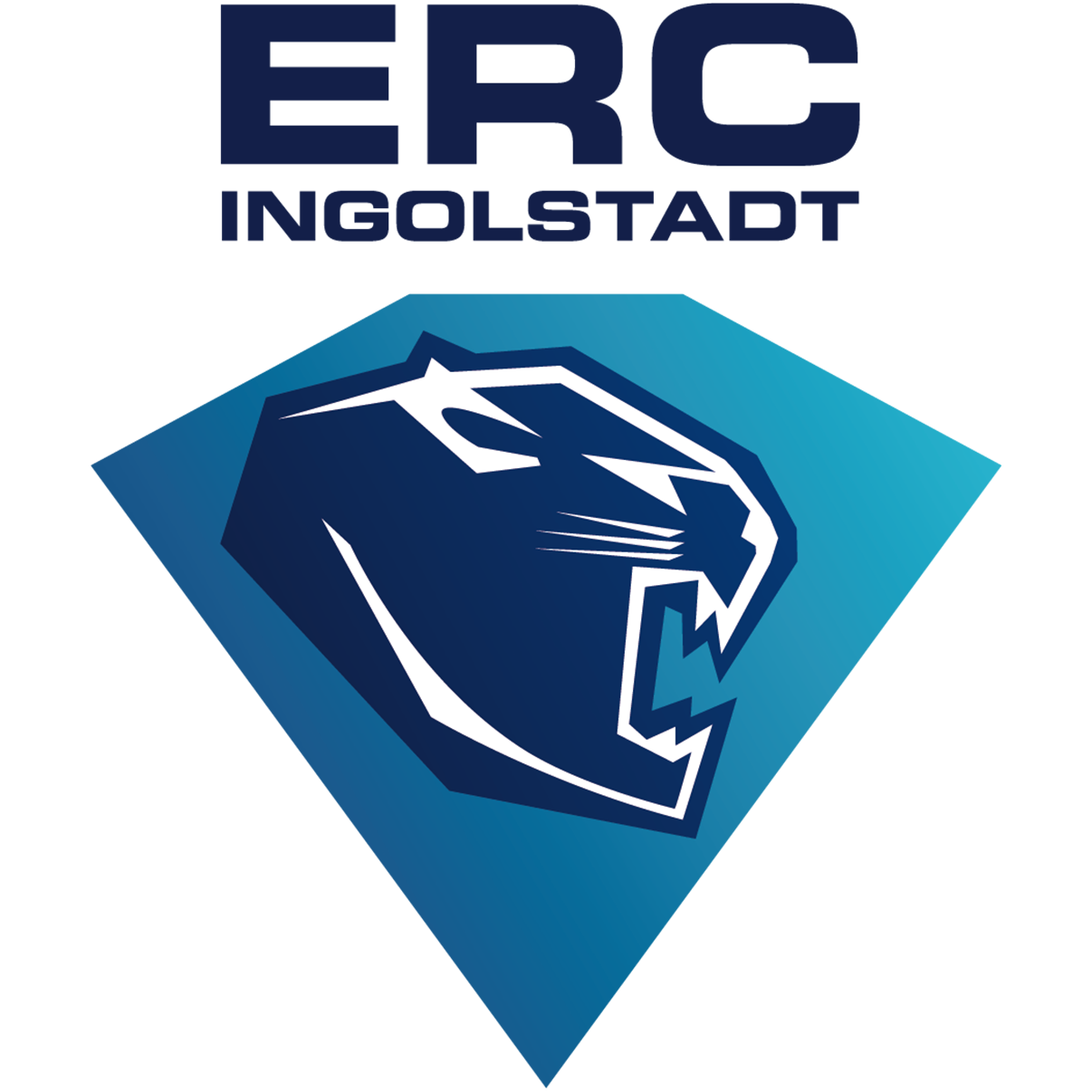 Ercingolstadt